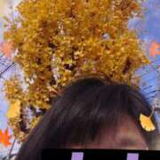 ヒメ日記 2025/11/29 11:54 投稿 リャオ 西川口デッドボール