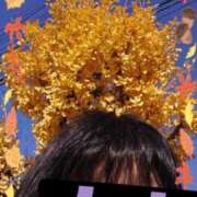 ヒメ日記 2025/11/30 11:48 投稿 リャオ 西川口デッドボール