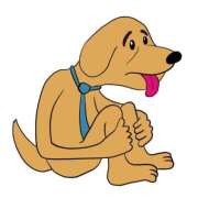 ヒメ日記 2024/12/10 16:35 投稿 メーテル AMOUR（アムール）