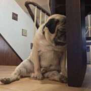 ヒメ日記 2025/04/18 23:07 投稿 メーテル AMOUR（アムール）