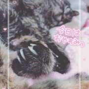 ヒメ日記 2025/04/04 18:08 投稿 浅井成美 五十路マダム 郡山店