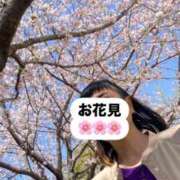 ヒメ日記 2025/04/10 08:00 投稿 かな 奥様の実話 谷九店