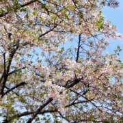 ヒメ日記 2025/04/18 09:13 投稿 かな 奥様の実話 谷九店