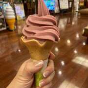 ヒメ日記 2025/08/28 05:38 投稿 かな 奥様の実話 谷九店