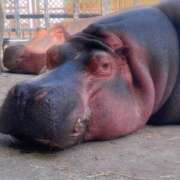 ヒメ日記 2025/10/20 10:54 投稿 かな 奥様の実話 谷九店