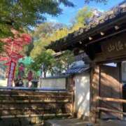 ヒメ日記 2025/11/13 06:59 投稿 かな 奥様の実話 谷九店