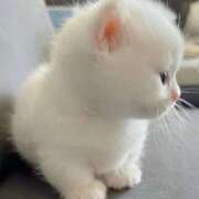 ヒメ日記 2025/02/27 14:46 投稿 ゆう 西川口ビデオdeはんど