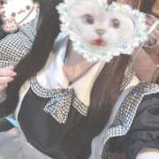 ヒメ日記 2025/04/26 16:06 投稿 ゆう 西川口ビデオdeはんど