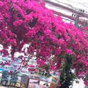 ヒメ日記 2025/05/05 16:21 投稿 るみ 西川口おかあさん