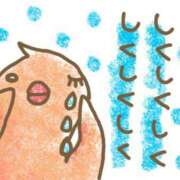 ヒメ日記 2025/08/10 17:31 投稿 るみ 西川口おかあさん