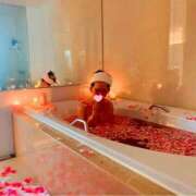 ヒメ日記 2025/12/28 12:20 投稿 あい CLASSY.名古屋・新栄店