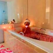 ヒメ日記 2026/02/04 12:55 投稿 あい CLASSY.名古屋・新栄店