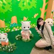 ヒメ日記 2026/03/01 12:20 投稿 あい CLASSY.名古屋・新栄店