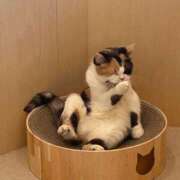 ヒメ日記 2025/03/13 23:42 投稿 溝口(みぞぐち) 相模原人妻城