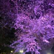 ヒメ日記 2025/04/04 05:48 投稿 溝口(みぞぐち) 相模原人妻城