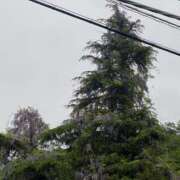 ヒメ日記 2025/05/02 00:03 投稿 溝口(みぞぐち) 相模原人妻城