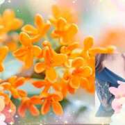 ヒメ日記 2025/01/15 10:29 投稿 桜 西船橋ムンムン熟女妻