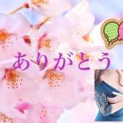 ヒメ日記 2025/01/28 10:00 投稿 桜 西船橋ムンムン熟女妻