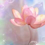 ヒメ日記 2025/07/24 12:55 投稿 桜 西船橋ムンムン熟女妻