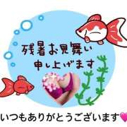 ヒメ日記 2025/08/18 10:10 投稿 桜 西船橋ムンムン熟女妻