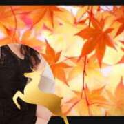 ヒメ日記 2025/10/08 17:03 投稿 桜 西船橋ムンムン熟女妻