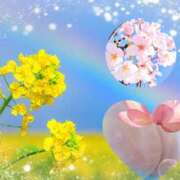 ヒメ日記 2025/11/08 16:24 投稿 桜 西船橋ムンムン熟女妻