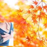 ヒメ日記 2025/11/20 10:02 投稿 桜 西船橋ムンムン熟女妻