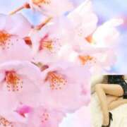ヒメ日記 2026/03/13 09:47 投稿 桜 西船橋ムンムン熟女妻