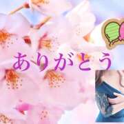 ヒメ日記 2026/04/14 15:14 投稿 桜 西船橋ムンムン熟女妻