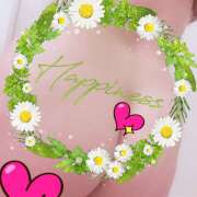 ヒメ日記 2026/04/16 09:46 投稿 桜 西船橋ムンムン熟女妻