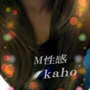 ヒメ日記 2025/01/13 19:20 投稿 果穂 福岡覚醒Ｍ性感 女医のカルテ