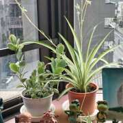 ヒメ日記 2025/08/19 16:06 投稿 ちな　体験入店 愛ロマンス