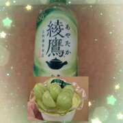 ヒメ日記 2025/09/25 19:05 投稿 ちな　体験入店 愛ロマンス