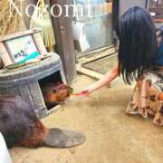 ヒメ日記 2025/08/27 17:05 投稿 ノゾミ ソープランドMAX‐マックス- 浅草店