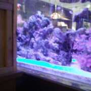 ヒメ日記 2025/01/05 15:30 投稿 石川 ともみ ギン妻パラダイス 谷九店