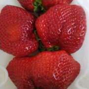 ヒメ日記 2025/04/09 12:45 投稿 石川 ともみ ギン妻パラダイス 谷九店