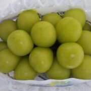 ヒメ日記 2025/08/28 11:49 投稿 石川 ともみ ギン妻パラダイス 谷九店