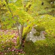 石川 ともみ 宜しくお願いします(^o^) ギン妻パラダイス 谷九店