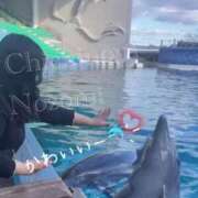 ヒメ日記 2025/01/26 09:31 投稿 のぞみ 乳野家