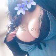 ヒメ日記 2025/08/06 17:23 投稿 のぞみ 乳野家