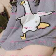 ヒメ日記 2025/10/31 00:46 投稿 のぞみ 乳野家