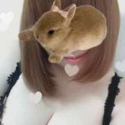 ヒメ日記 2025/03/02 10:22 投稿 雨音美紗 五十路マダム愛されたい熟女たち 福山店(カサブランカグループ)