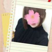 ヒメ日記 2025/04/09 09:56 投稿 雨音美紗 五十路マダム愛されたい熟女たち 福山店(カサブランカグループ)