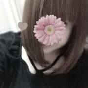 ヒメ日記 2025/11/09 12:06 投稿 雨音美紗 五十路マダム愛されたい熟女たち 福山店(カサブランカグループ)