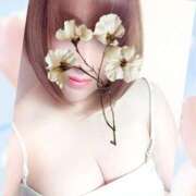 ヒメ日記 2026/01/15 12:20 投稿 雨音美紗 五十路マダム愛されたい熟女たち 福山店(カサブランカグループ)