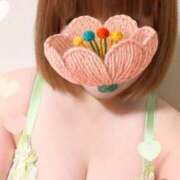 ヒメ日記 2026/01/27 10:04 投稿 雨音美紗 五十路マダム愛されたい熟女たち 福山店(カサブランカグループ)