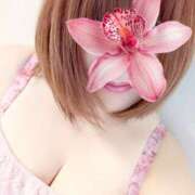 ヒメ日記 2026/01/30 12:22 投稿 雨音美紗 五十路マダム愛されたい熟女たち 福山店(カサブランカグループ)