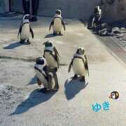 ヒメ日記 2025/12/13 12:24 投稿 ゆき Welcome Cafe(ウェルカムカフェ) 八王子本店