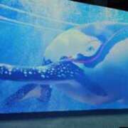 ヒメ日記 2025/04/03 11:13 投稿 赤星★ Club夢