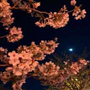 ヒメ日記 2026/04/05 08:02 投稿 ゆうき ハイブリッドヘルス西川口